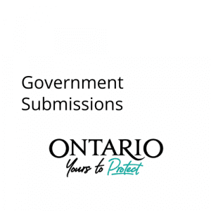 GOVERNMENT SUBMISSIONS